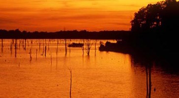 Salamonie Reservoir, camping, hiking, trails, boating, fishing, outdoor activities, Marion Indiana