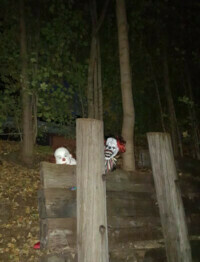 cardinal screamway, jonesboro indiana, grant county indiana, haunted walk on the cardinal greenway, fall fun jonesboro indiana
